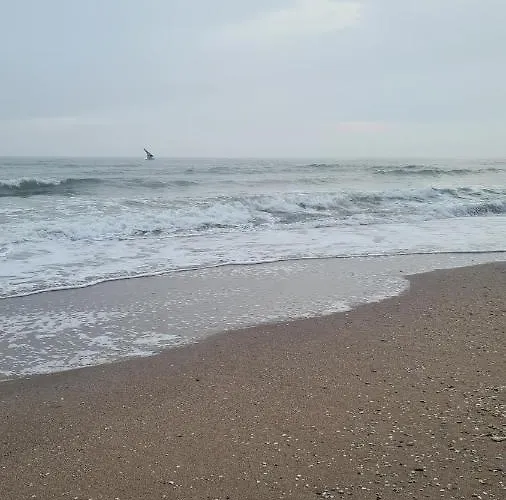 уютная на лузановке *