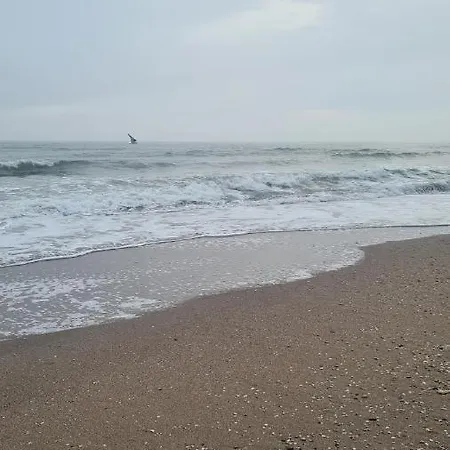 уютная на лузановке *